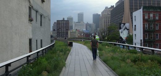 high line park nyc, architecture nyc, the three tomatoes
