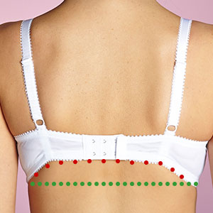 perfect fitting bra, bra line, style tips, the three tomatoes