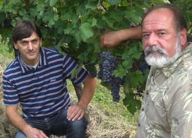 victorraimo alex milesi, milesi giovanni vineyards, the three tomnatoes