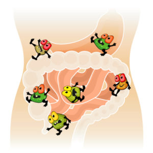 Let’s Get Started With Digestion – or Indigestion?