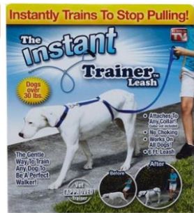 instant trainer