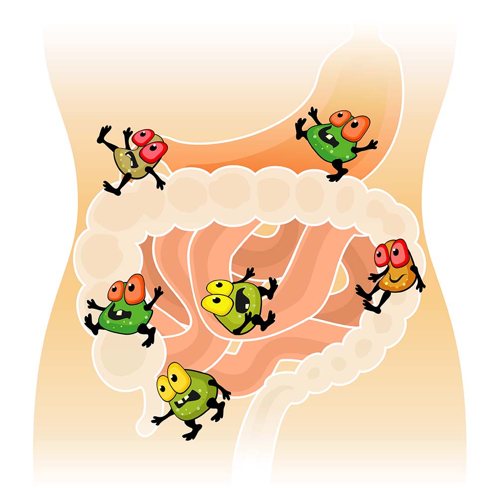 Is Your Gut Making You Moody, Sick & Tired?