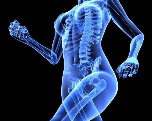 Menopause and Osteoporosis: How to Take Charge of Your Bone Health