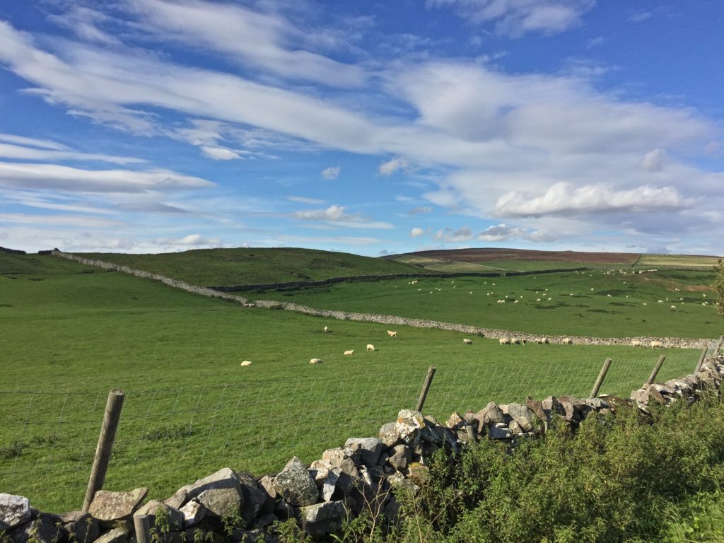 Walking through the timeless Yorkshire Dales