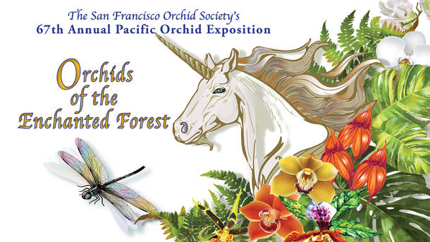 Pacific Orchid Exposition - Orchids of the Enchanted Forest