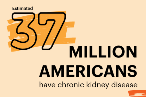 Kidney Disease in The News