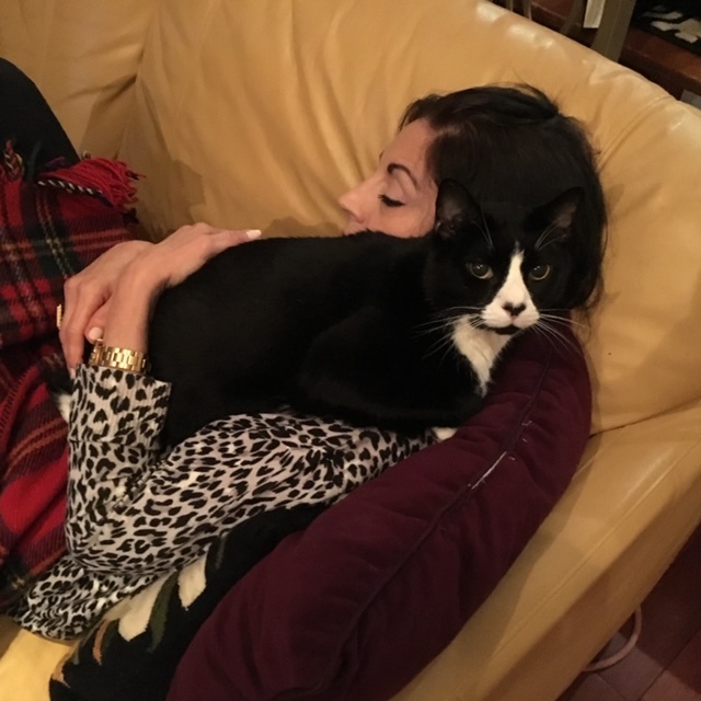 The cat who showed how love can heal.
