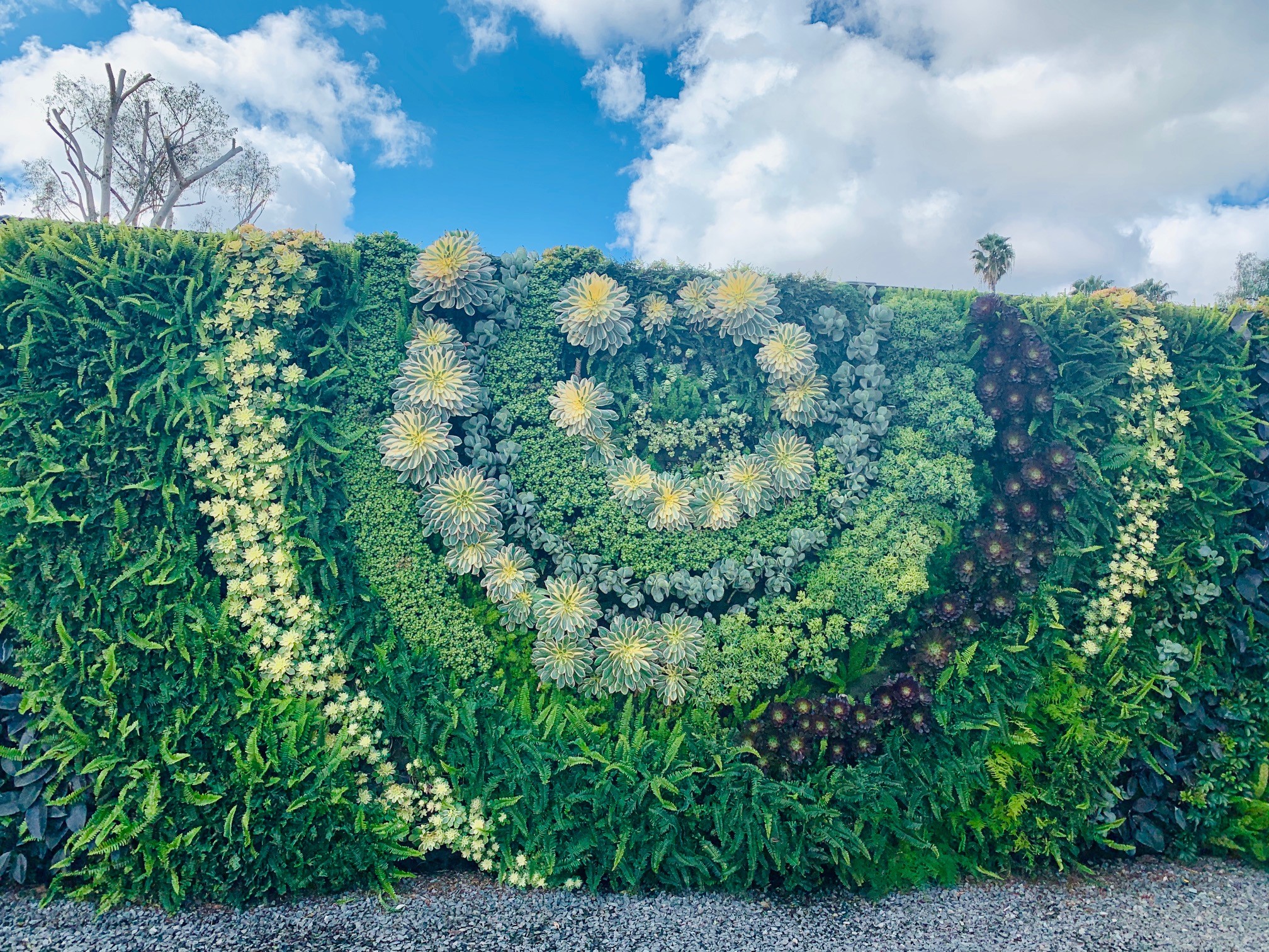 SouthCoastBotanicGarden1 The Three Tomatoes