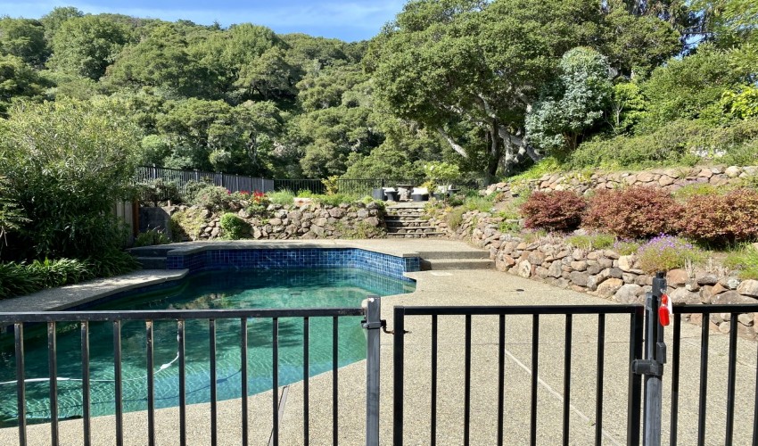 SF LIFE: Pools for Rent, Chinatown, Whales, Books