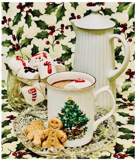 Christmas Marshmallows, Hot choclolate and cookies for Santa 2020©Ellen Easton.jpeg