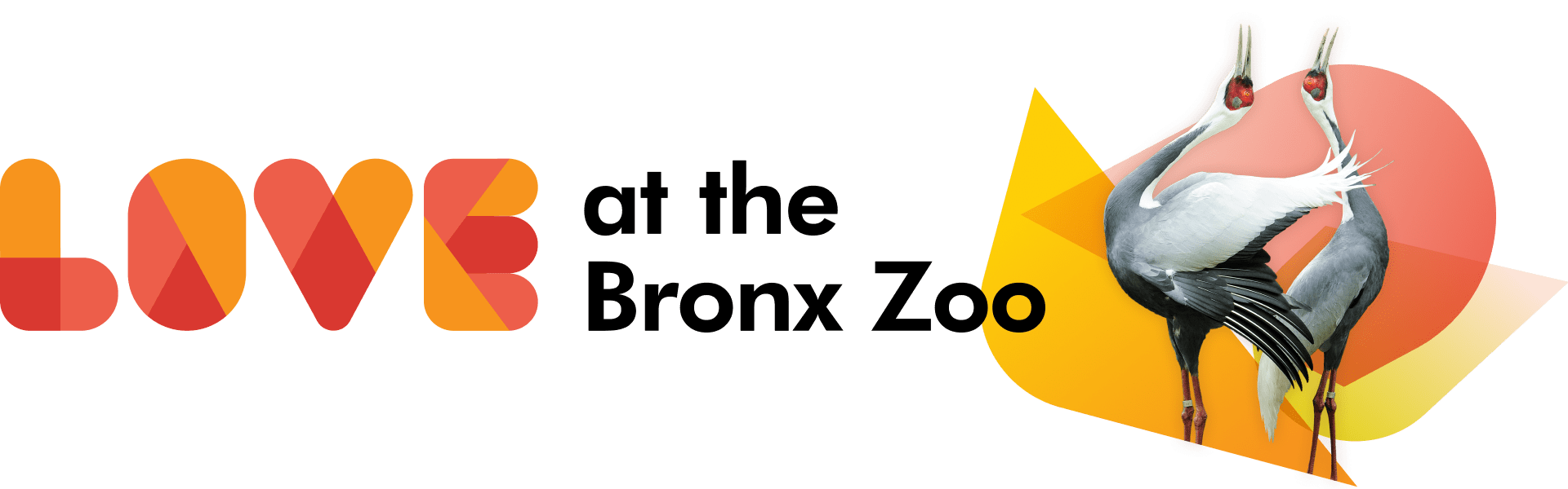 bronxzoo The Three Tomatoes