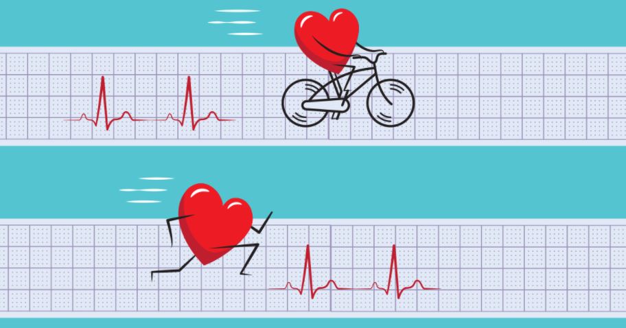 Cardio Conundrum:  Exercise for Heart Health